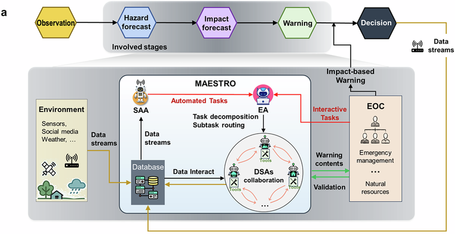 MAESTRO overview
